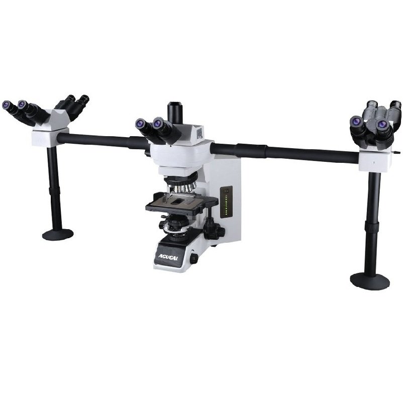 Product View